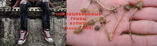 эйфоретик Навашино