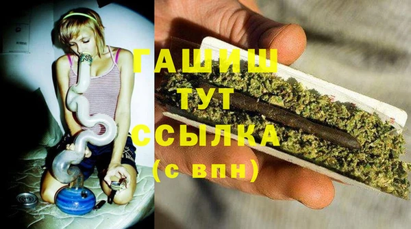 PSILOCYBIN Верхний Тагил