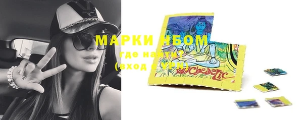 прущие крисы Надым
