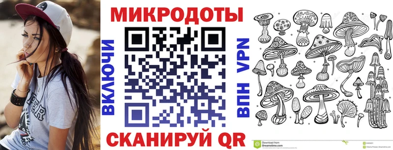 Псилоцибиновые грибы Psilocybine cubensis  Надым 