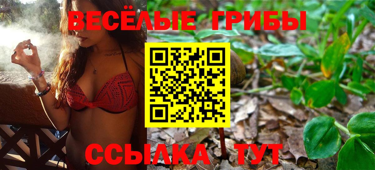 Галлюциногенные грибы Magic Shrooms  Псилоцибиновые грибы Cubensis  Вход с VPN  Надым 